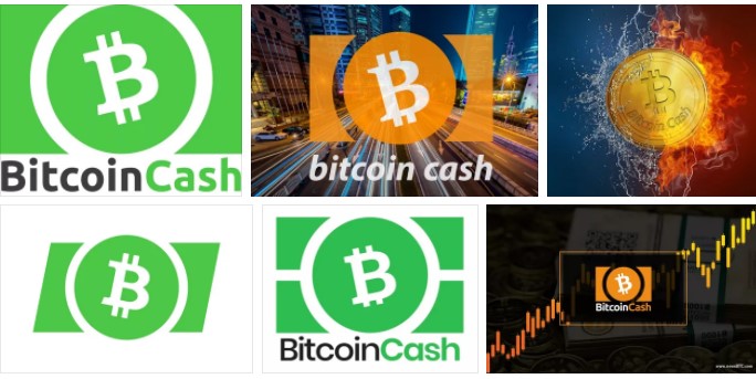       Bitcoin Cash